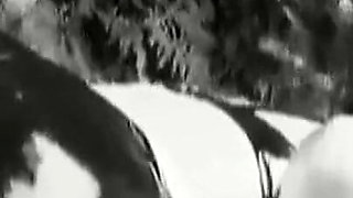 Dd0302