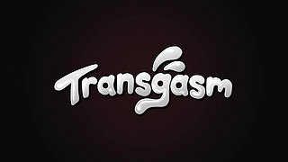 TRANSGASM - Welcome Your Latest Superstar Sensation