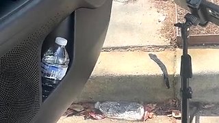 Hot amateur european foot and pantyhose fetish