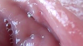 Close-up of a Plump Pussy