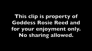 Reality Check Little Dick (standard Definition)