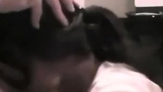 hmdt - Girlfriend Videos - Asian Girlfriend Face Fuck