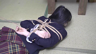 Using a Vibrator to Bring a Girl to Orgasm