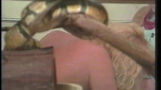 Debi Diamond Blowjob