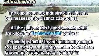 Thai Amateur Pussy Ravaged by BBC Tourist