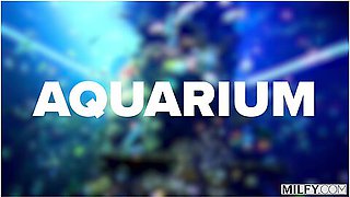 Married Redhead Lauren Phillips Gets Dped By Two Studs