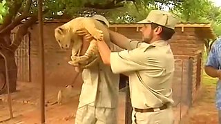 Safari hardcore: Blowjob, Licking  Chaturbate Porn