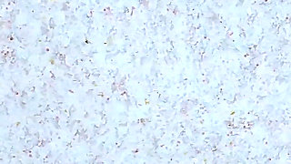 Anal College Musical - Coach Fucks the Ass of Naughty Student