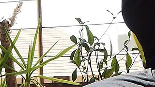 Peeing on a Potted Plant