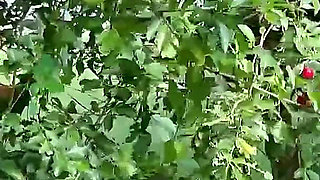 Ninfo Gulosa Fucked Three and Did Dpa on the Hair