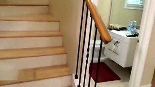 big ass Daughter needs dads cock in her mouth