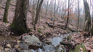 Lena Paul's Nature Passion Ignites in Sensual Blowjob Heat