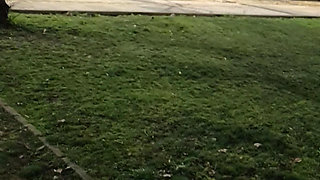 Thick and big Bulgarian cock gets hard in public on the street and squirts cum