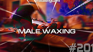 Male Waxing