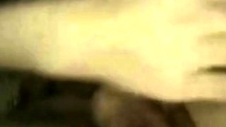 American MILF Gives an Amazing Blowjob