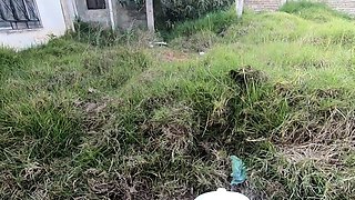 Amateur Blowjob in the Garden