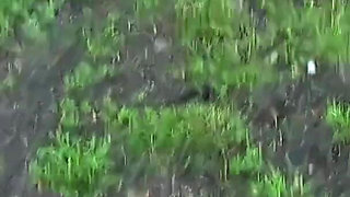 Happy Stepfather's Day - horny milked