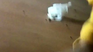 Korean Amateur Sucks Cock in Bathroom Gloryhole
