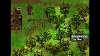 Getting a Prostitute Pregnant for Money