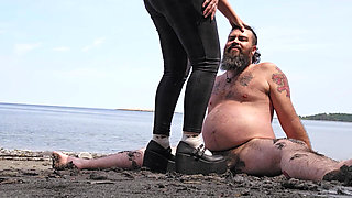 Gaspesie Cock Trampling