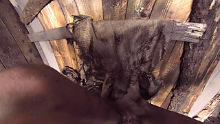 X Virtual 19 the Monster From the Woods 180°