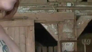 Humiliating, dominating submitting slave