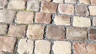 Cara and Cara's blowjob porn