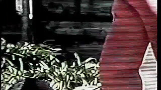 Wild sex with black and ebony