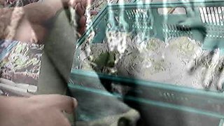 Sexy Ass Upskirt In Miniskirt