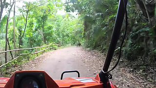 Close Up And Cumshot