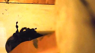 Huge-chested grind cougar stepmother i heavy-breathing to impregnant real swift before her dude gets back from off the road, but i dreamed to make her sploog on me untill she had enough of my petite big black cock in her greatly sized