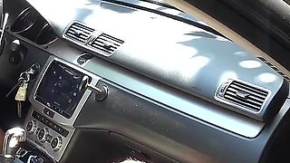 Uber Driver Sucking and Fucking a Costumer