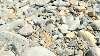 155 Caught on Beach: Sporty Girl in Crotchless Bodysuit Rides Stranger Hard