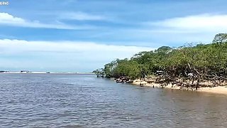Hot Wives Gangbanged by Friends on a Boat in Salvador - Creampie & Moaning Action