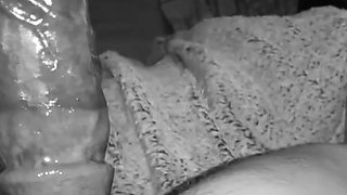 Time To Get Ur Holes FKD