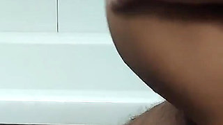 Swallow in the Shower