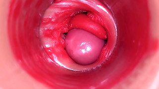 Inside a Camgirl Cervix POV Camera in Vagina with Big Dick Toy