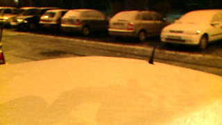 Hot babes love blowjob and cumshot - DVD