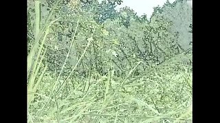 Italian Vintage Threesome: Double Penetration Doggy Style & Blowjob Compilation
