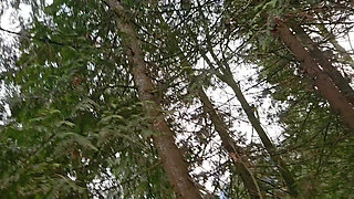 Indoor Pee, Outdoor Pee