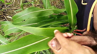 Big Cock Cumming on Field, Milk Cumshot