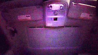 Wife Fuck and Suck Back Seat With a Facial