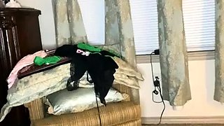 Chubby Brunette Big Boobs Dildo Masturbation