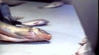 babe hardcore glamour hd porn pornstars