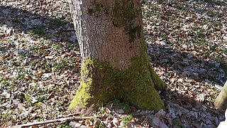 Get Naked I Wanna Punish Your Tits