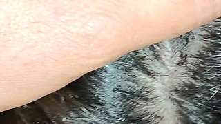Real Life Arab Couple Big Arabic Dick Hot MILF Wife