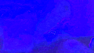 Sister-in-law Fucked Very Well at Night