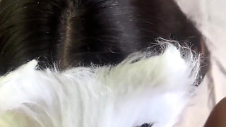 Today I'm a Naughty Kitten Who Wants Milk