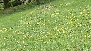 Walk in park and milking breast