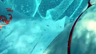 Join Me in the Pool, on My Mv Crush